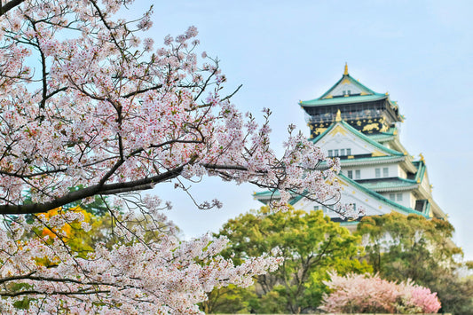 Travel Solo: Your Guide to the Top 10 Safest & Budget-Friendly Countries for Women
